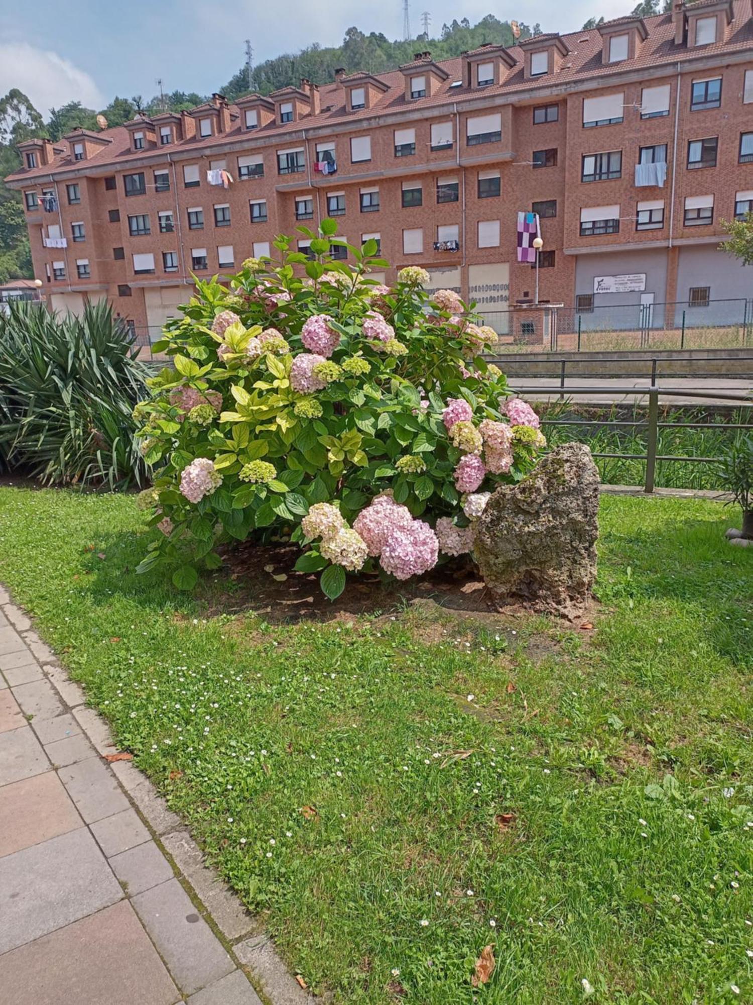 El Refugio De Noa Apartment *